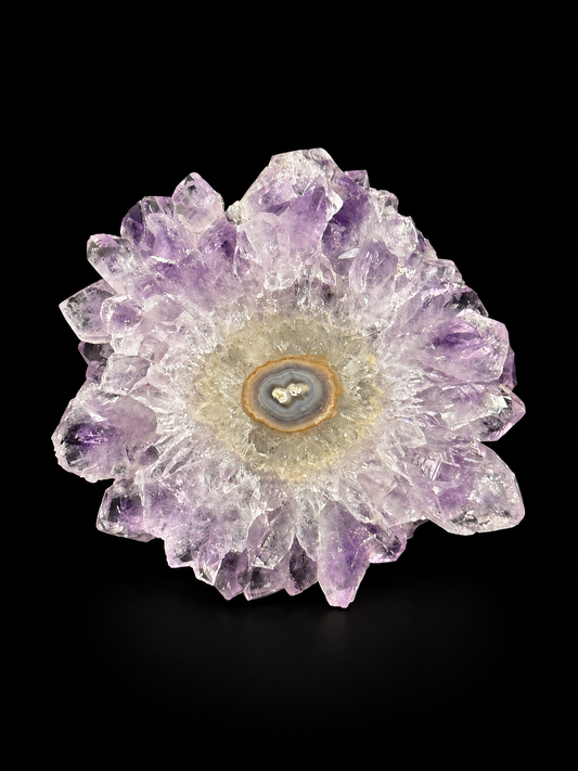 Natural polished amethyst stalactite slice shaped like a flower, with light purple crystal points and brown-gray agate banding.